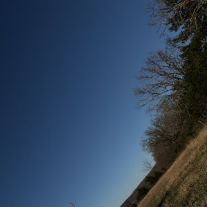 Meet your Posher, Dylan